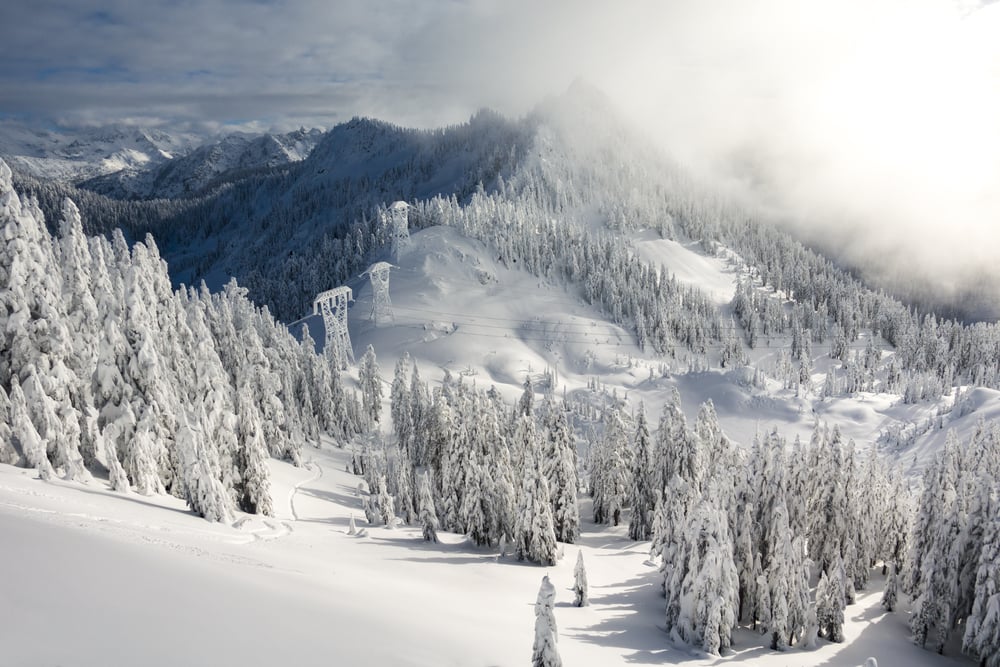 Stevens Pass Ski Area Guide evo