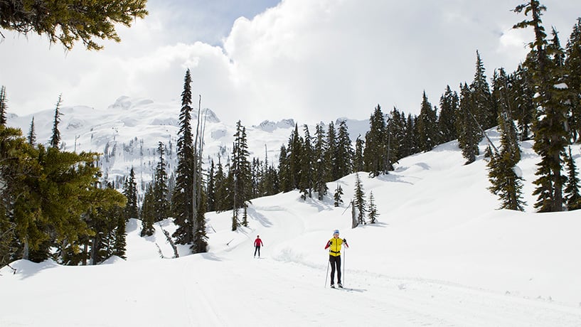 Callaghan Valley Snowcat Shuttle Service, Whistler BC | evo