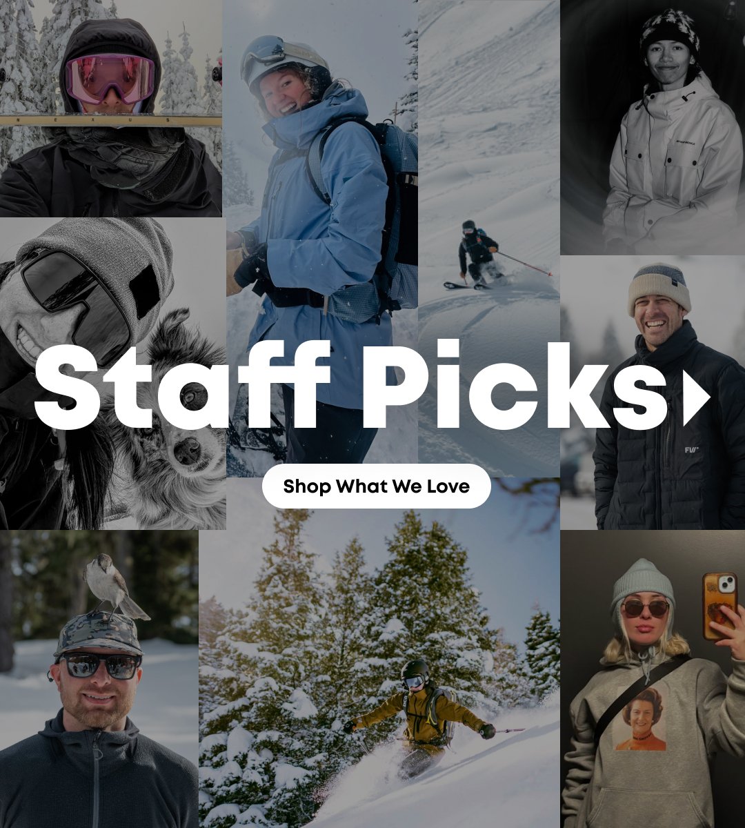 Staff Picks. Shop What We Love.