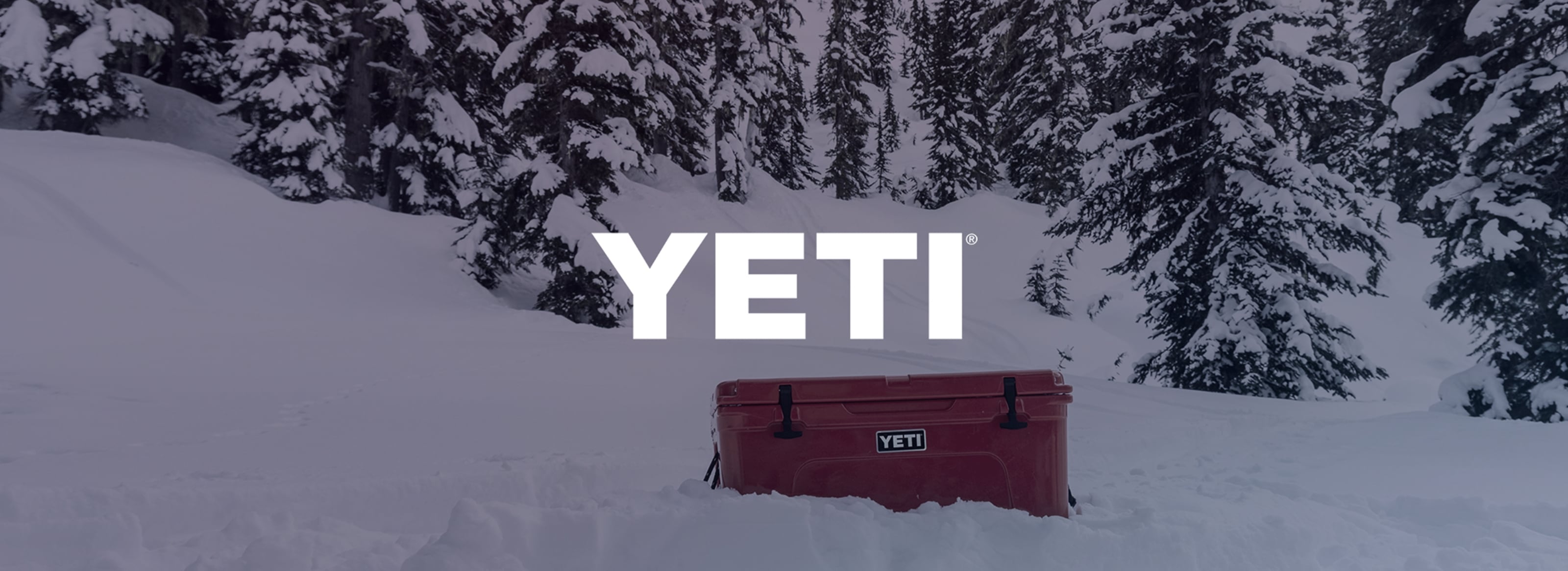 Yeti