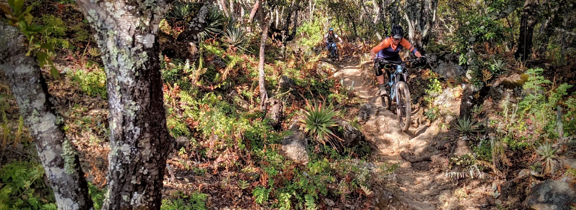 evo Oaxaca Mountain Biking