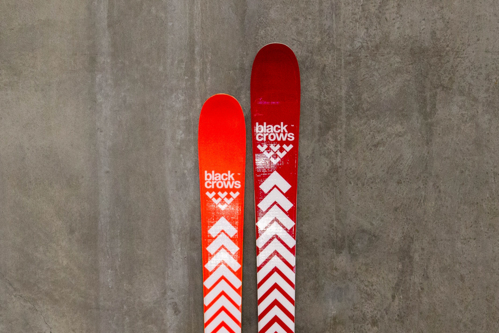 Camox / Camox Birdie