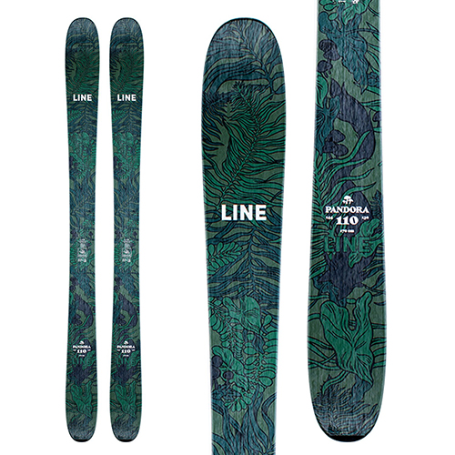 The 7 Best Powder Skis of 20202021 Men's & Women's evo