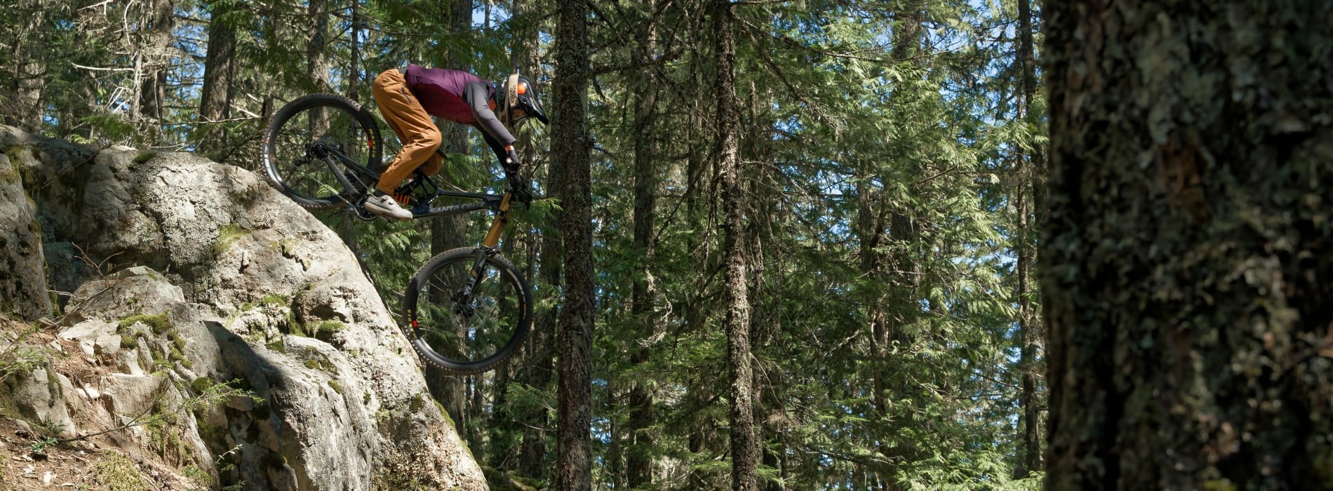 Best Whistler Bike Park Trails by Skill Level