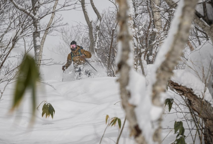 Skiing pow in Nozawa Onsen