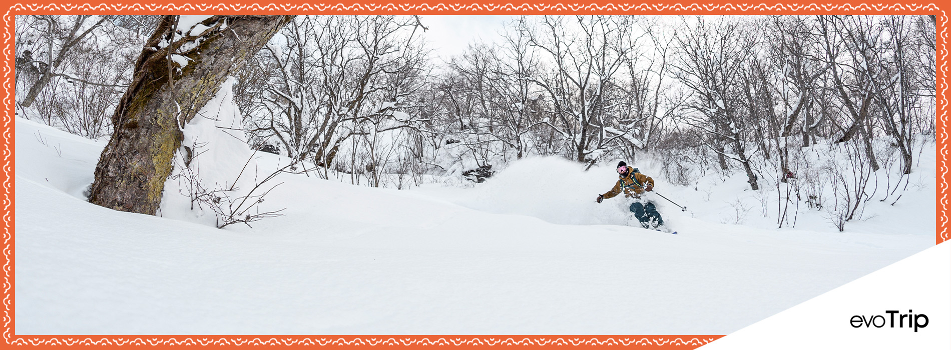Niseko, Japan Private Trips by Mountain Watch