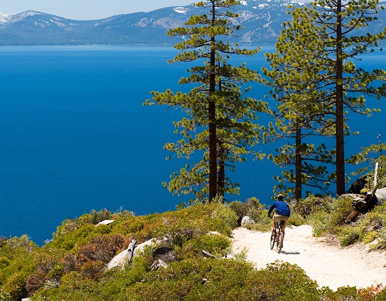 Lake Tahoe Mountain Bike Trail Guide