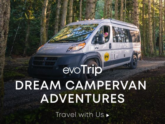 Dream Campervan Adventures