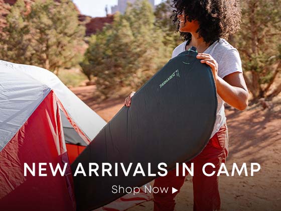 New Arrivals in Camp