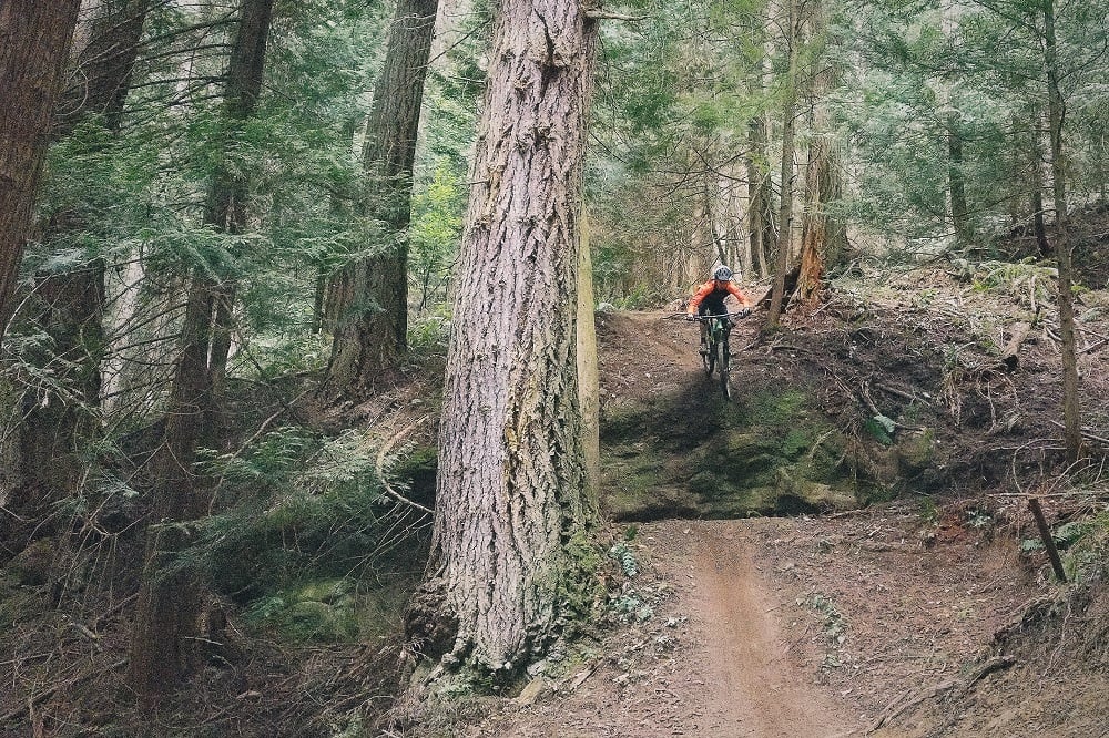 Hit the best Mountain Biking Trails in Bellingham