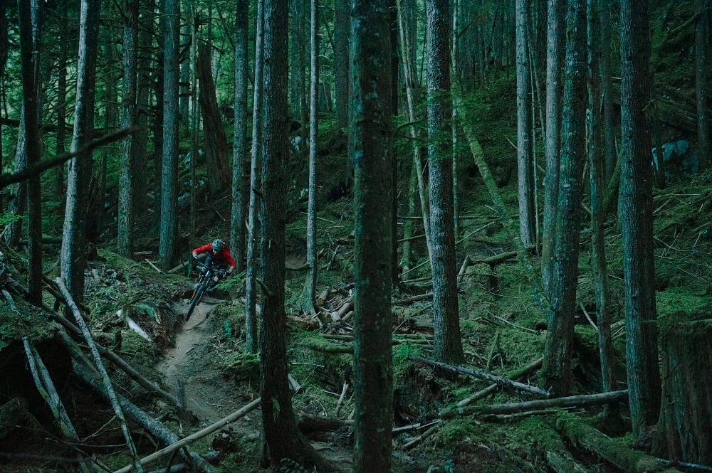 Mountain Biking at Tiger Mountain