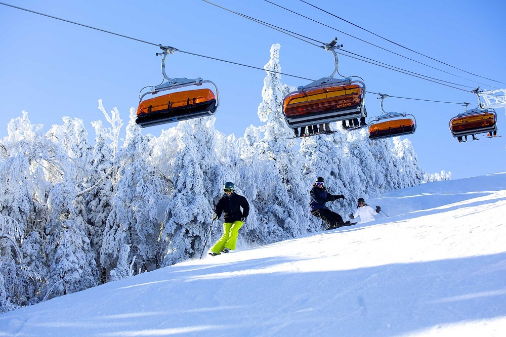 OKEMO MOUNTAIN VERMONT SKI SNOWBOARD AREA RESORT STICKER DECAL 